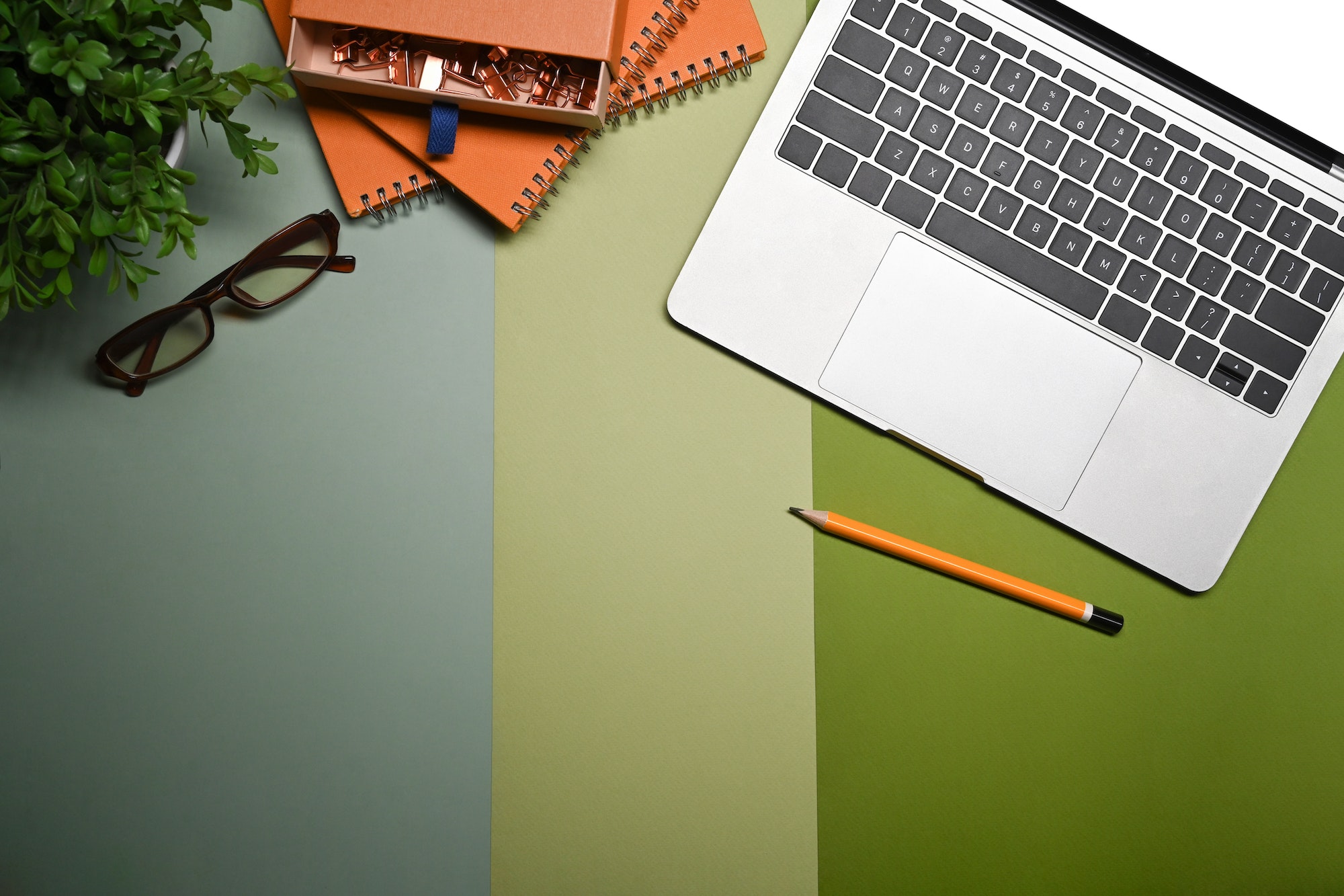 Mockup computer laptop, books, glasses and houseplant on green background.