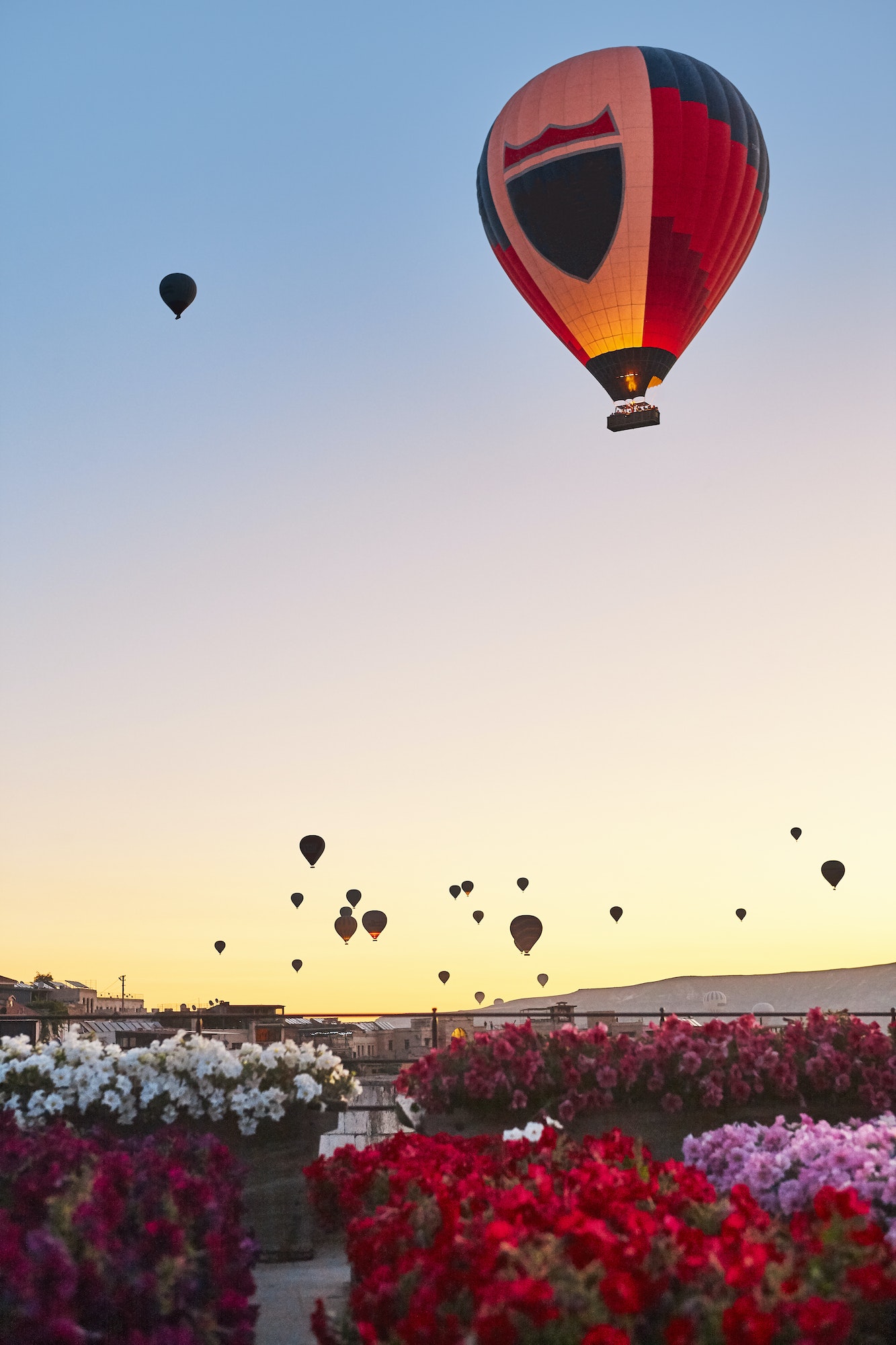 Spectacular balloons flying at sunrise in Goreme. Turism Cappadocia, Turkey